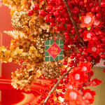 NGẬP TRÀN KHONG KHÍ XUÂN TẠI ANNOVA NHA TRANG